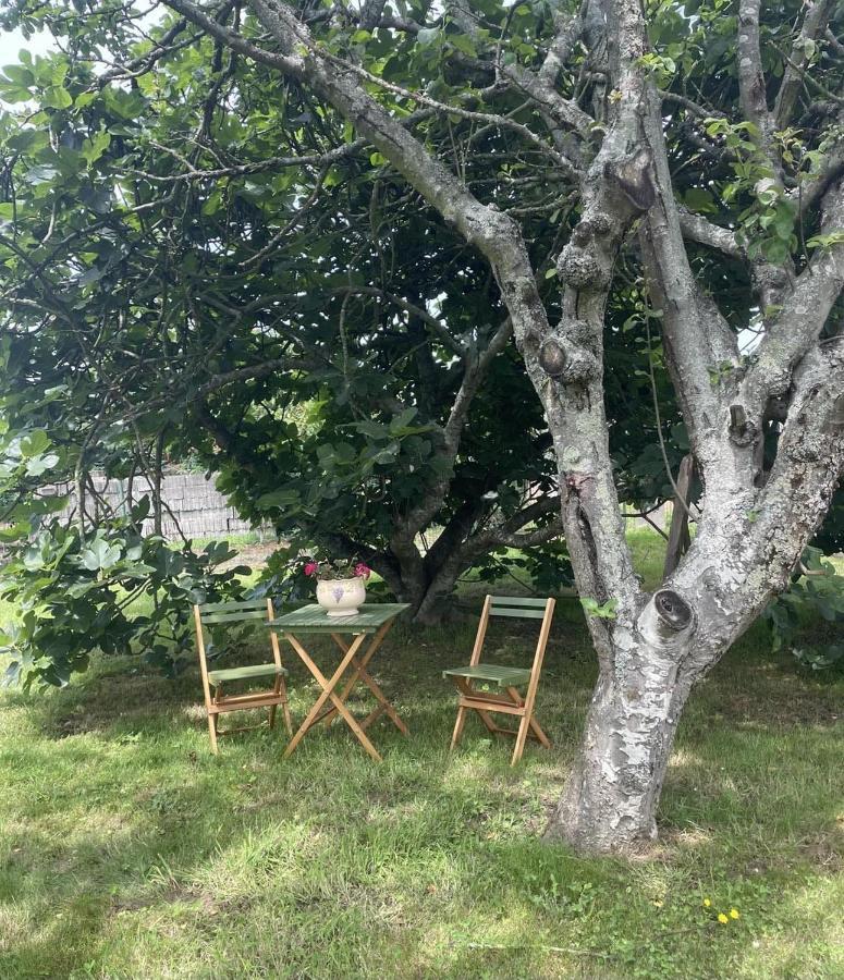 Haz De Mi Rincon En Mugardos Tu Experiencia. Villa Ngoại thất bức ảnh
